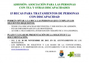 BECAS ADISMON 2015 LOS MONTESINOS