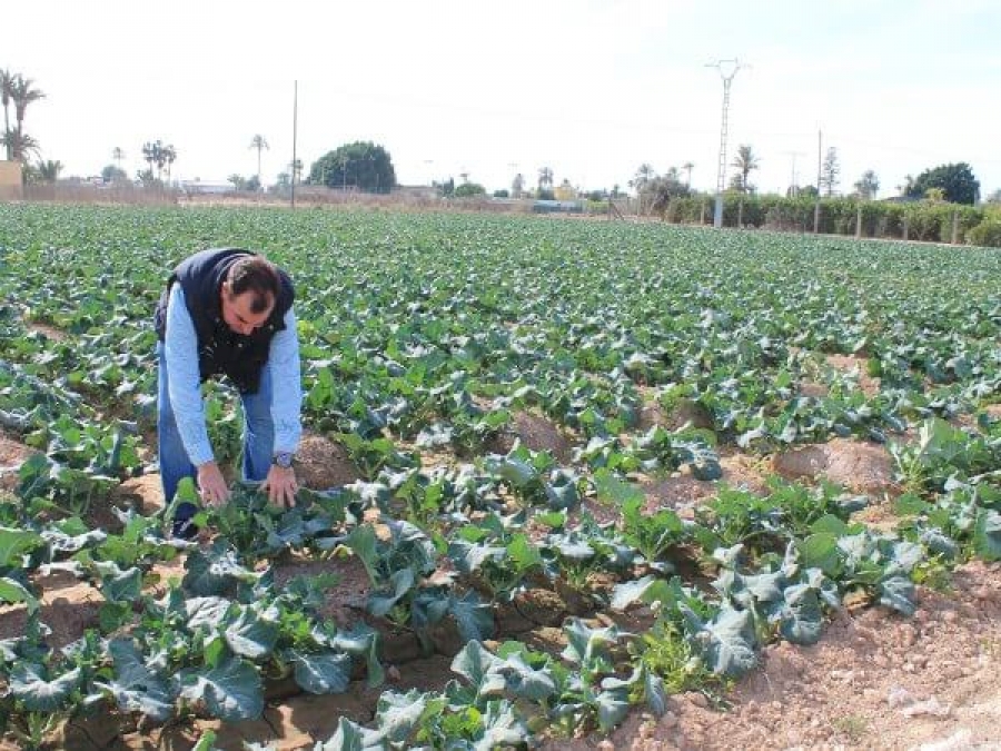ASAJA-Tramitación nuevas ayudas para JOVENES AGRICULTORES de la Comunidad Valenciana