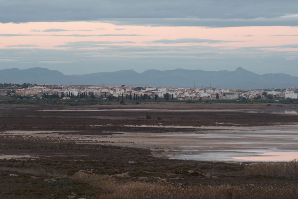 Vistas de Los Montesinos (2)