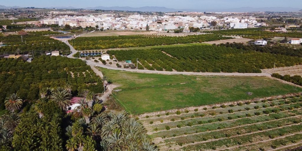 Vistas de Los Montesinos (2)